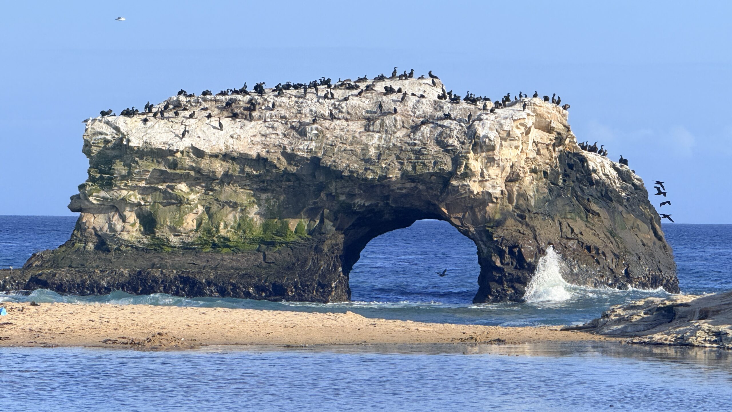 Natural Bridges State Beach and State Park